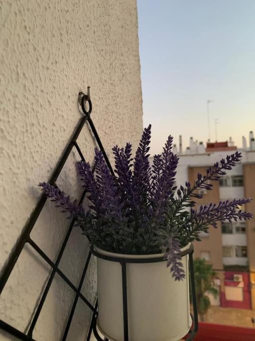 Anfitriones De Glamour - Albor De Sevilla Montequinto المظهر الخارجي الصورة